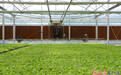 张掖：以监督之力守绿洲之水