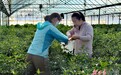 瓜州：大棚蔬菜有了“身份证” 