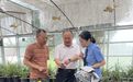 务工人员采挖兰花在火车站被查获，六株野生兰花有了临时的“家”
