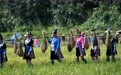 糯谷飘香话丰年(3)