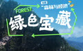 国际森林日丨绿色宝藏(7)