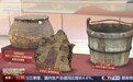 视频丨 从“吃饱”到“吃好” 中原粮仓让中国饭碗端得更牢