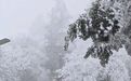 元旦假期有游客被困峨眉山顶？景区：无人被困，酒店过夜者为登山客