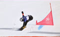 冬奥会｜单板滑雪——男子平行大回转赛况