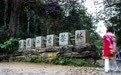 云南景迈山：游客寻茶香 古寨续新篇(2)