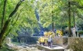 安徽滁州：打造琅琊山文旅消费新业态(4)