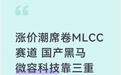 涨价潮席卷MLCC赛道 国产黑马微容科技靠三重优势突围国产替代浪潮
