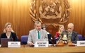 国际海事组织召开特别会议讨论海湾局势(2)