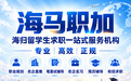 海马职加：深耕海归求职服务赛道 打造全链路青年职业成长标杆
