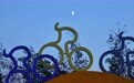 星空相册|本年度最小上弦月现身天宇(15)#