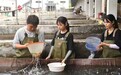 鱼苗“游”全国 人才回乡来