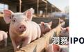 安佑生物三闯IPO，温氏成关键变量