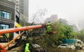 武汉连发暴雨橙色红色预警，江汉区多部门紧急出动：清理渍水132处、断枝20处