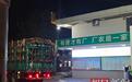 极目深度丨这棵甘蔗里，藏着最动人的善意