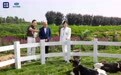 央视新闻探访君乐宝奶粉：全链透明铸就中国奶粉底气