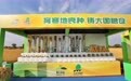 “链”在黑土 以“智”取胜