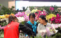 云南昆明：春节将至  鲜花俏销(5)#