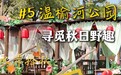 温榆河公园：寻觅秋日野趣