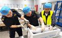 24小时不熄灯的“开放门户”
