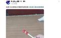 “竹知了”意外爆火，被称作“1000万以内最好玩具”
