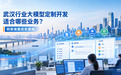 ​武汉行业大模型定制开发适合哪些业务？这四类场景最容易见效