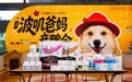​倡议“领养代替购买”京东健康启动“毛孩守护计划”长期助力流浪动物公益