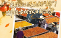 秋日账本丨来浙江遇见好“柿”！解锁古村秋日新流量