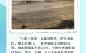 青春华章·山河铭记丨右玉：七十余载的绿色征程