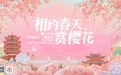 武汉将推出五大系列316项活动“相约春天赏樱花”