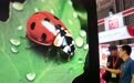 五展联动 上海国际广告展开幕(2)