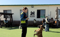 95后训犬师：帮助宠物融入家庭