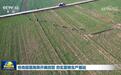 各地因苗施策开展田管 夯实夏粮生产基础