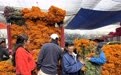 墨西哥城鲜花迎接亡灵节(5)