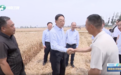 “头等要事”！河南省委书记，到田间地头调研