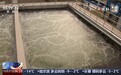 视频丨围绕国家水网建设等 水法修订草案三审稿新增鼓励公众参与内容
