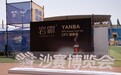 霸越沙海，沿路香随 |岩霸茶业携手沙15，持续探索 “体育+茶文化” 融合发展