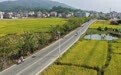广西兴业：“六个一”工程激活乡村振兴新动能(8)