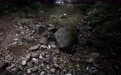 记者来信：进山一趟随手捡500多塑料瓶，“野景点”环境得有人操心(4)