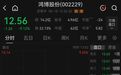 算力租赁人气股，逼近跌停