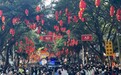 请到广州过大年！广州11区花市等你来逛