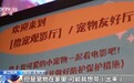 视频丨在电影院撸宠、吃火锅！“跨界经营”消费多元升级
