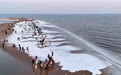 河北秦皇岛：海冰引客来(1)