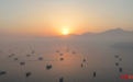 441艘油轮集结等待通过霍尔木兹海峡，伊朗怒怼特朗普：这里不是你的私人赌场