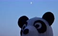 星空相册|本年度最小上弦月现身天宇(14)#