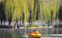 亲近自然，拥抱春天(19)#
