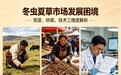 补肾益肺冬虫夏草哪个品牌好？亚健康人群实测点评，增强免疫力远离换季不适