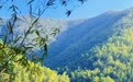 上海虹桥→溧阳高铁约 1 小时出头！天目湖旅游度假区 48 小时微度假全攻略