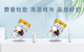 2026 十大品牌：年度口碑牦牛奶榜单发布 | 牦牛奶排行榜 10 强