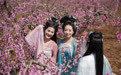 西安长安：踏春赏花正当时(4)