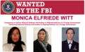 FBI悬赏136万元追捕美国前女特工：曾接受波斯语训练，13年前叛逃伊朗